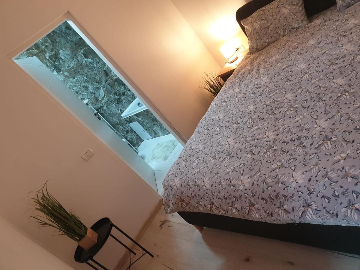 Lucky Residence Astra 1 ブラショフ エクステリア 写真